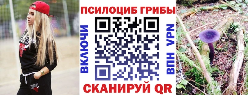 Галлюциногенные грибы Psilocybine cubensis закладки Торжок