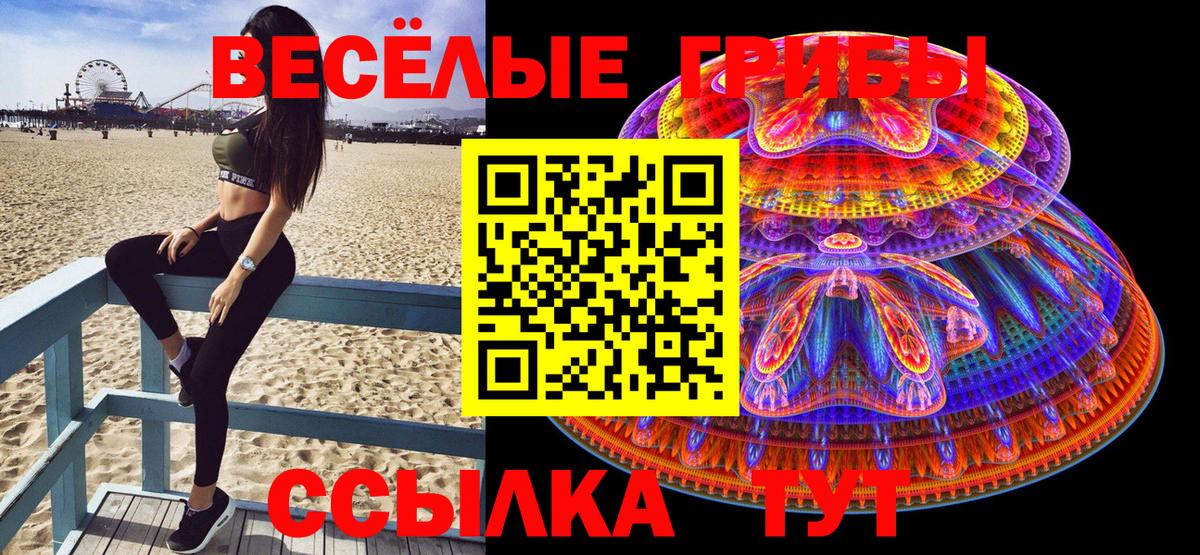 Торжок  Галлюциногенные грибы MAGIC MUSHROOMS  Вход с VPN 